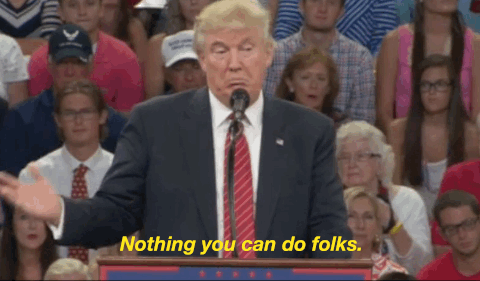 Image result for trump gif i can do