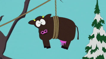 cow hanging GIF by South Park cow hanging GIF by South Park