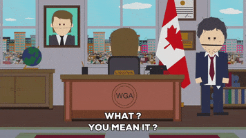 confused authority GIF by South Park 