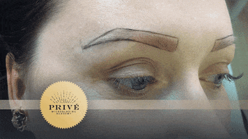 tatjanadamjanovic  GIF