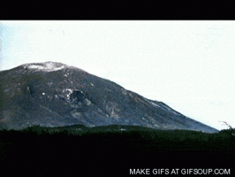 recon  GIF