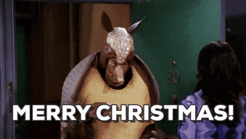Merry Christmas GIF by GIF Greeting Cards