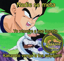 lezer  GIF