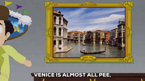 Venice's meme gif