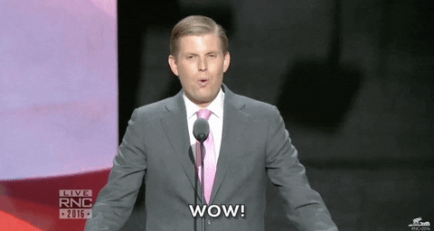 republican national convention wow GIF by GOP