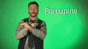 sign language porcupine GIF by Sign with Robert