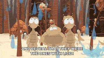 bugs GIF by South Park 