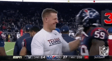 Houston Texans Hug GIF by NFL