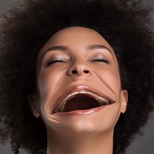 pumpkin pie lol GIF by Justin Gammon