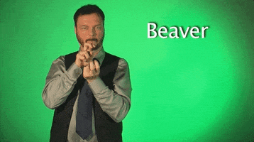 Sign Language Beaver GIF by Sign with Robert