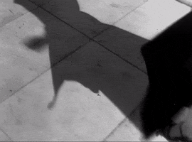 Shadow GIF by Dior and I