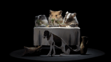 Hamsters #Pirosmani #Eating #Msunagebi #Cute #Craft #Funny #Hungry #Painting GIF by Sophia