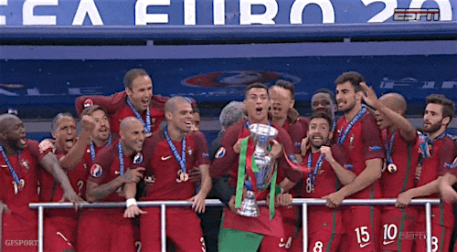euro 2016 portugal GIF