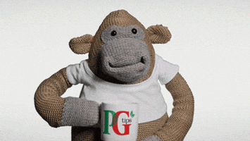 Dont Care Shrug GIF by PG Tips