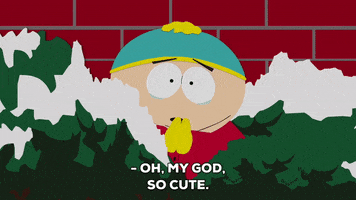 eric cartman omg GIF by South Park