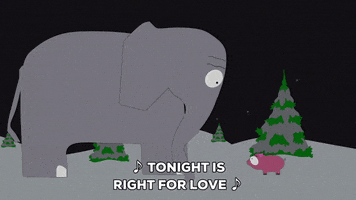 pig elephant GIF by South Park 