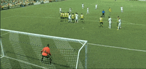 soccer GIF by New York Cosmos