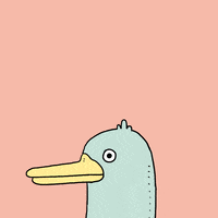 Bebek Antremani Gva Gifs Get The Best Gif On Giphy