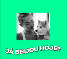 lidi  GIF