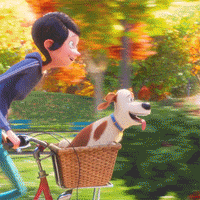 Fall Bike Ride GIF by The Secret Life Of Pets