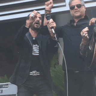 GIF by Ringo Peace and Love