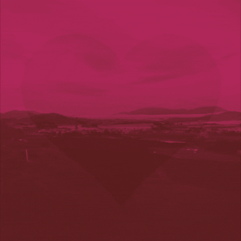 mrszoerockett sss GIF