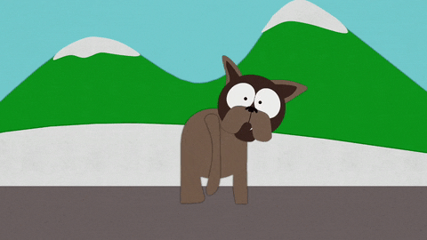 Ich Bin Ein Star Holt Mich Hier Raus GIFs - Find & Share on GIPHY