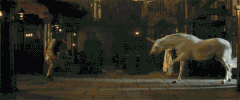 bgdjcmf3c2hhd0bnbwfpbc5jb20 trump unicorn clinton stardust GIF