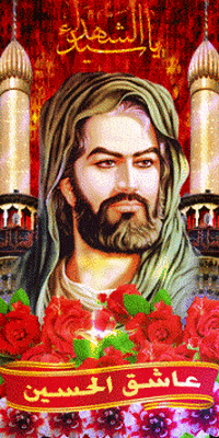 haidar  GIF