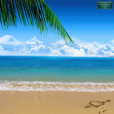 pin_rio1 thevillelovesmom GIF