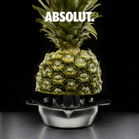 200.gif?cid=fc005b08747ad67130869f6b1035ea28ad39445627dd1ad4&rid=200.gif&ct=g