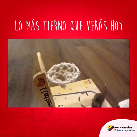 lascolombianadasdelfacebook  GIF