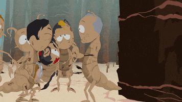 fight hair GIF by South Park 