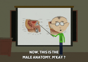 mr. mackey sexual education GIF by South Park 