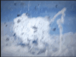 sustainabull  GIF