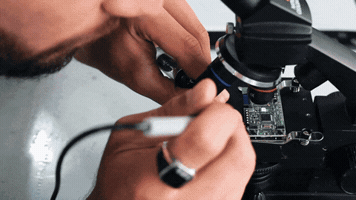 manueloccorso  GIF