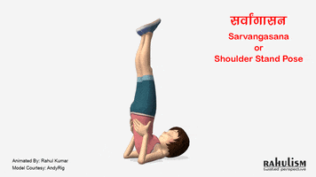 askrahulk loop fitness 3d yoga GIF
