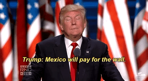 Image result for mexico will pay for the wall gif