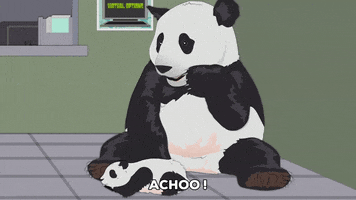 surprised panda GIF by South Park 