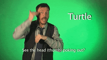 sign language turtle GIF by Sign with Robert