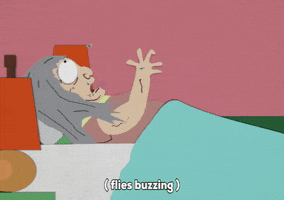 flies dying GIF by South Park 