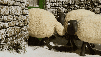 Stop Motion Animation GIF by Aardman Animations