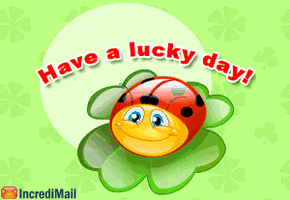 Lucky Day GIF by IncrediMail