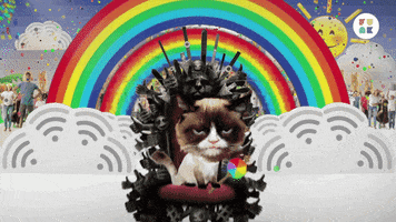 cat rainbow GIF by funk