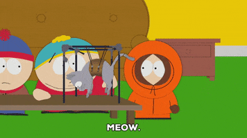 200.gif?cid=fc005b0842a1a0d2af5c2d439940fe8e3630a2ef218aa96f&rid=200.gif&ct=g