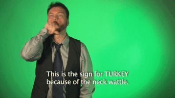 sign language turkey GIF by Sign with Robert