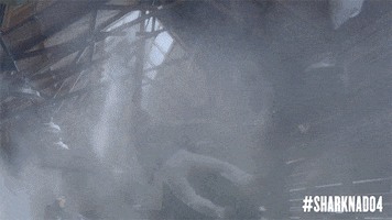 shark attack GIF by SYFY