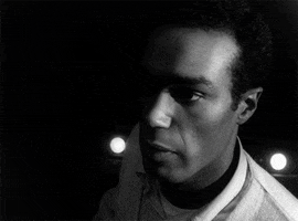 dalmoalf duane jones the night of living dead GIF