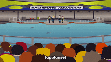 dolphins screaming GIF by South Park 