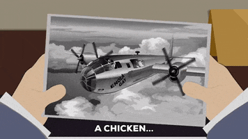 photo chicken GIF by South Park 